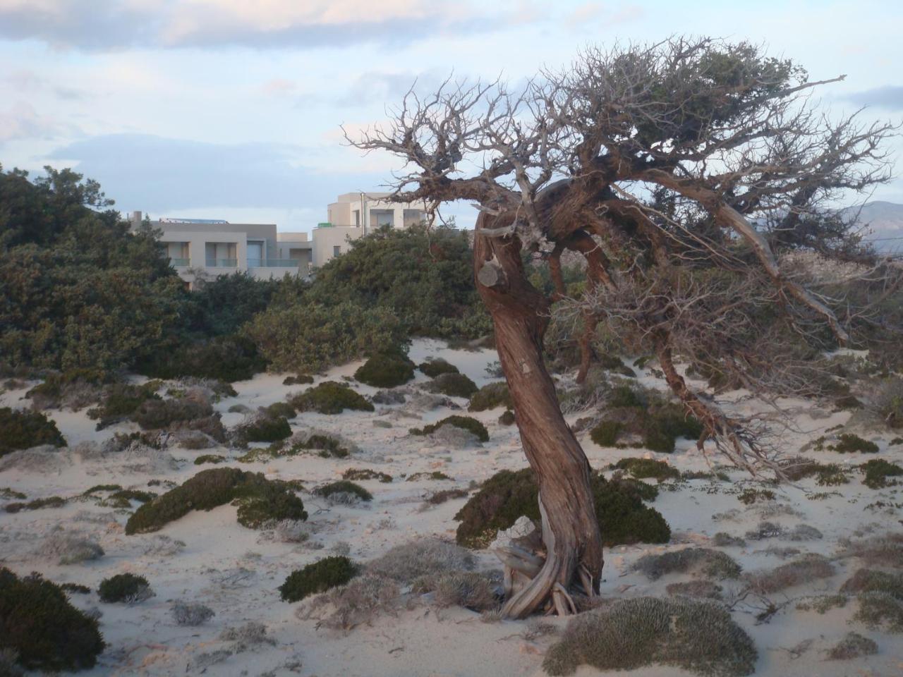 Double Bay Beach Hotel Elafonissos Esterno foto